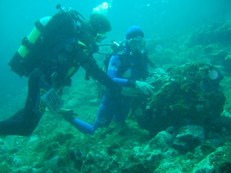 Immagine immersione in mare 1
