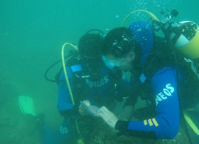 Immagine immersione in mare 2